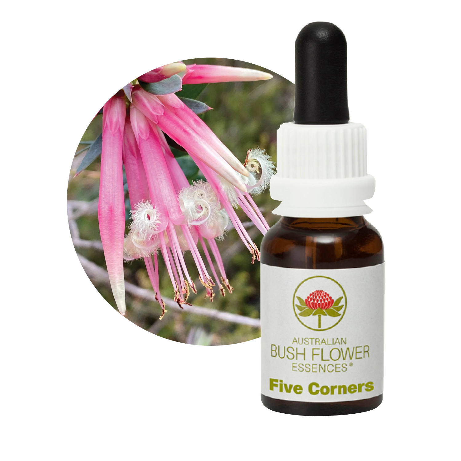 Five Corners Australia Australian Bush Flower Essences