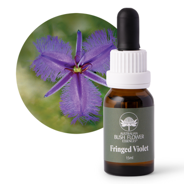 Fringed Violet - Australia