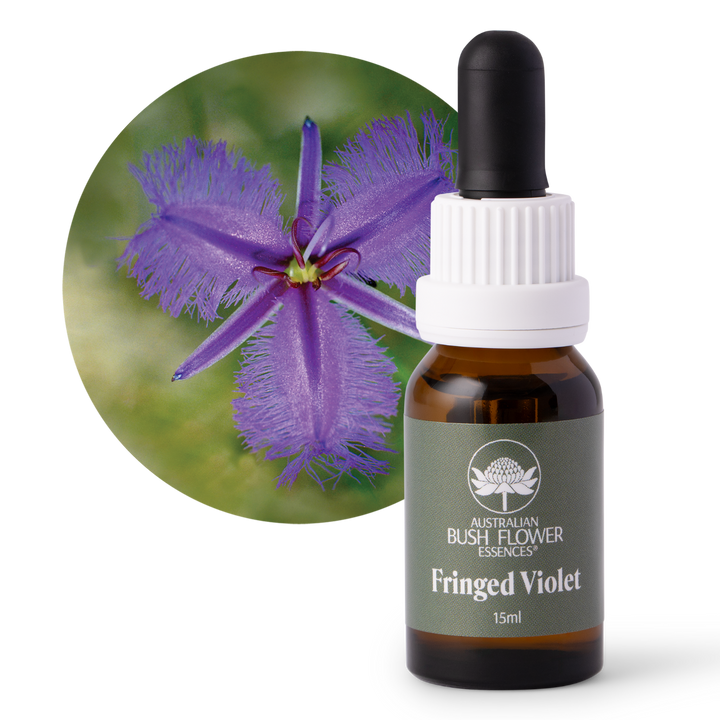 Fringed Violet - Australia