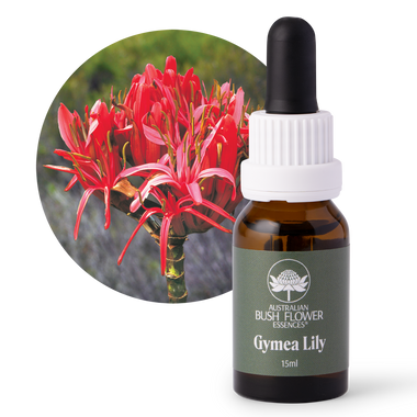 Gymea Lily - Australia