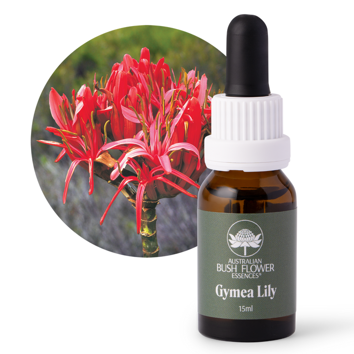 Gymea Lily - Australia