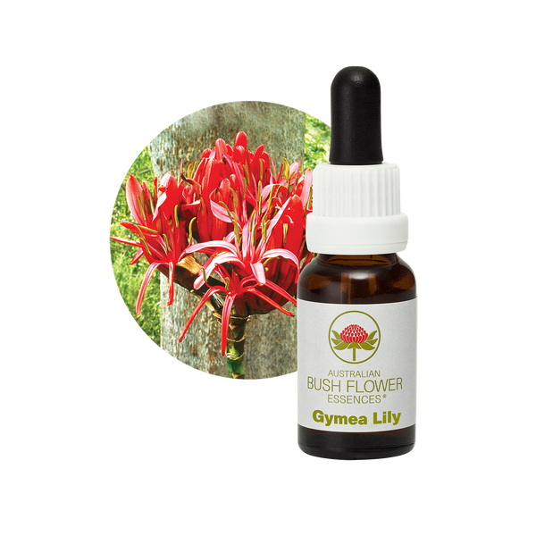 Gymea Lily Essence bottle and flowers. Designed for individuals with intense, extroverted personalities, this remedy addresses arrogance, bringing about humility and strength. Ideal for those seeking to balance their charismatic, demanding nature and reach new heights.