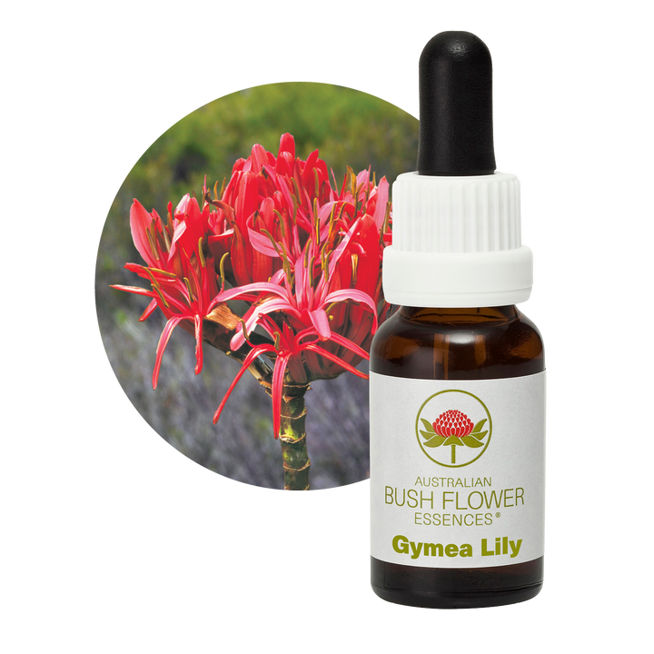 Extroverted Flower Gymea Lily Bush Flower Essence – Australian Bush Flower Essences