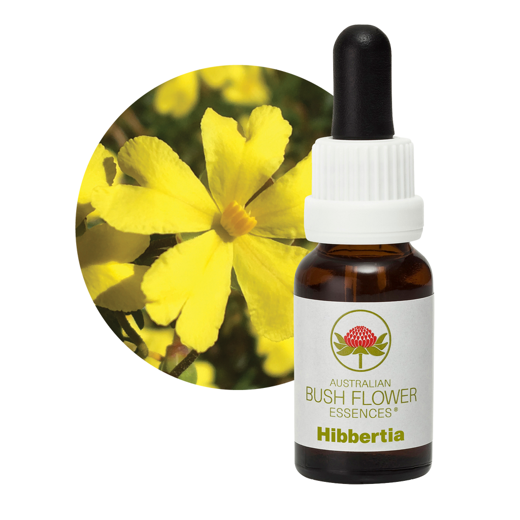 Hibbertia Australia Australian Bush Flower Essences