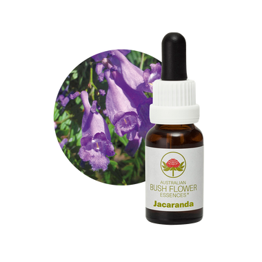 Jacaranda Essence helps individuals who struggle with indecision and constantly change their activities, providing clarity and focus to complete tasks. Unlike Sundew, which is for dreamers, Jacaranda is specifically for those who dither and are always changing their minds.