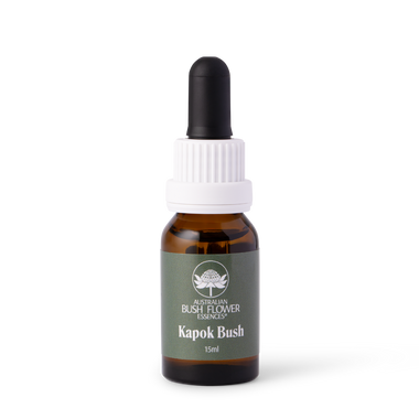 Kapok Bush - Australia