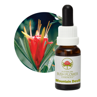 red lily flower essence Red Lily