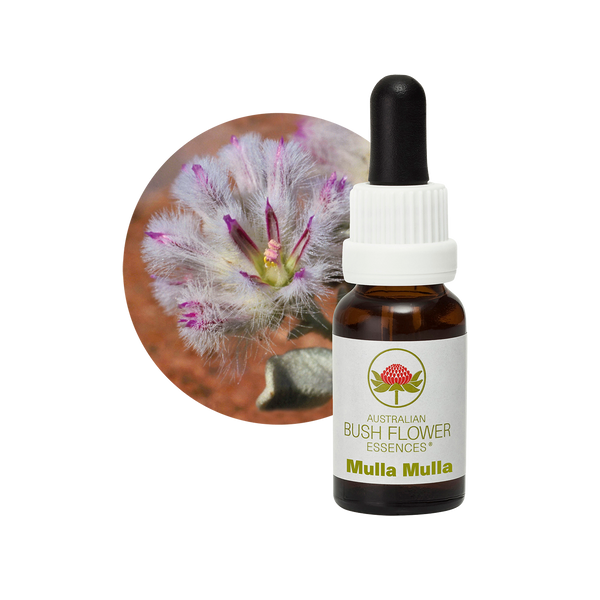 Mulla Mulla Essence – Australian Bush Flower Essences