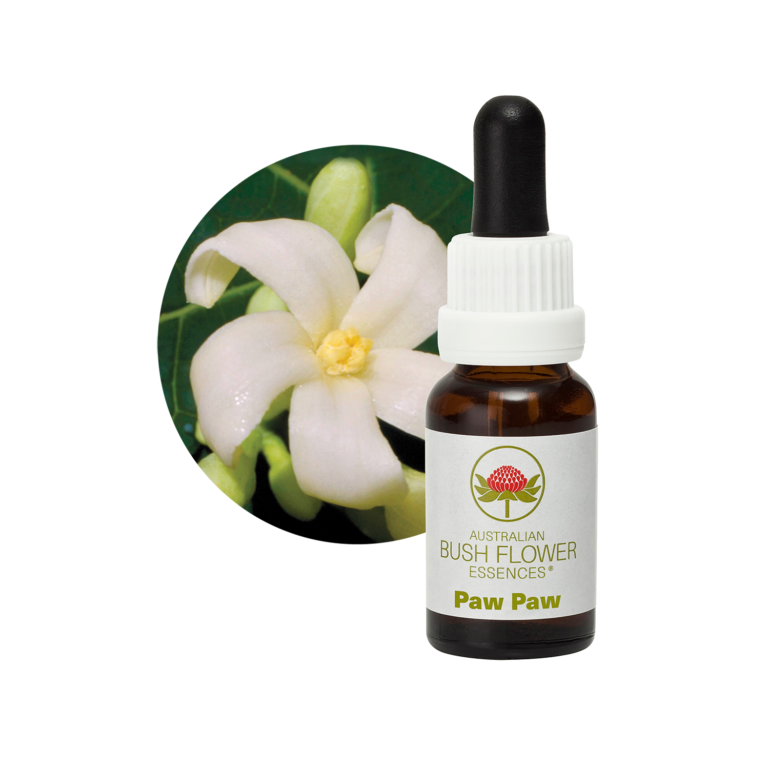 Paw Paw Australia Australian Bush Flower Essences