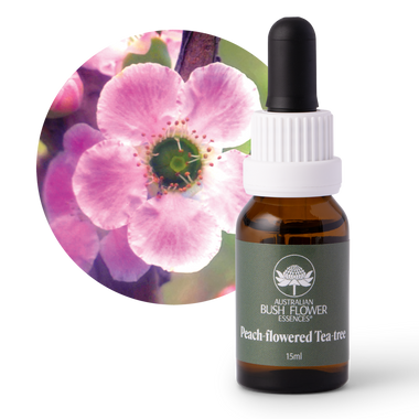 Peach-flowered Tea-tree - Australia