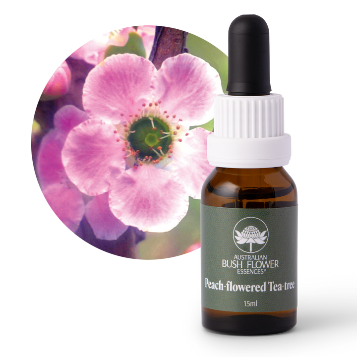 Peach-flowered Tea-tree - Australia