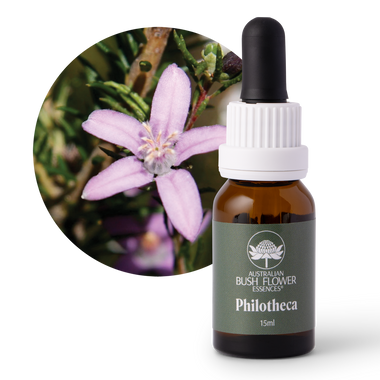 Philotheca - Australia
