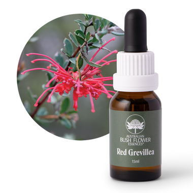 Red Grevillea - Australia
