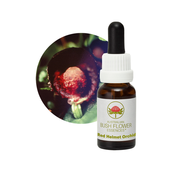 Red Helmet Orchid Essence – Australian Bush Flower Essences