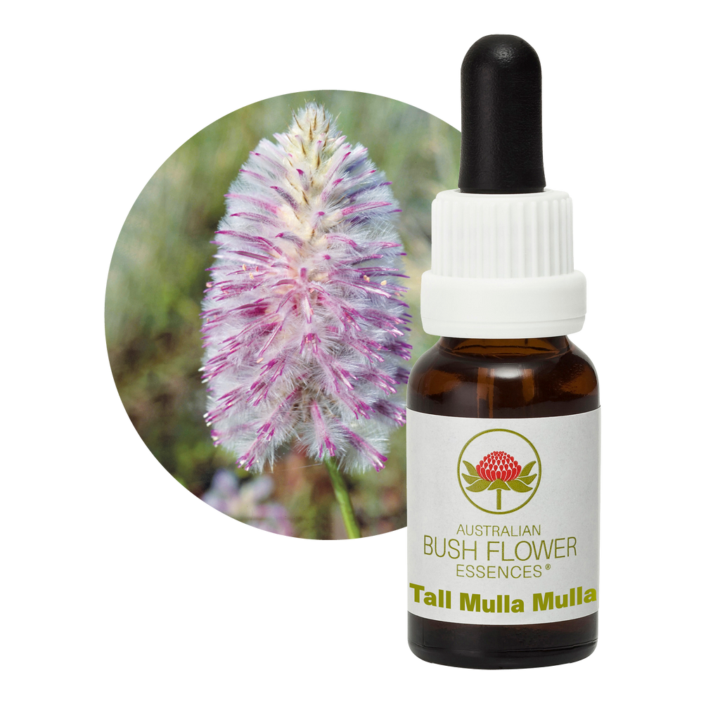 Tall Mulla Mulla Australia Australian Bush Flower Essences