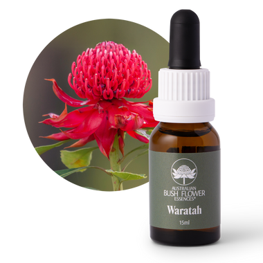 Waratah - Australia