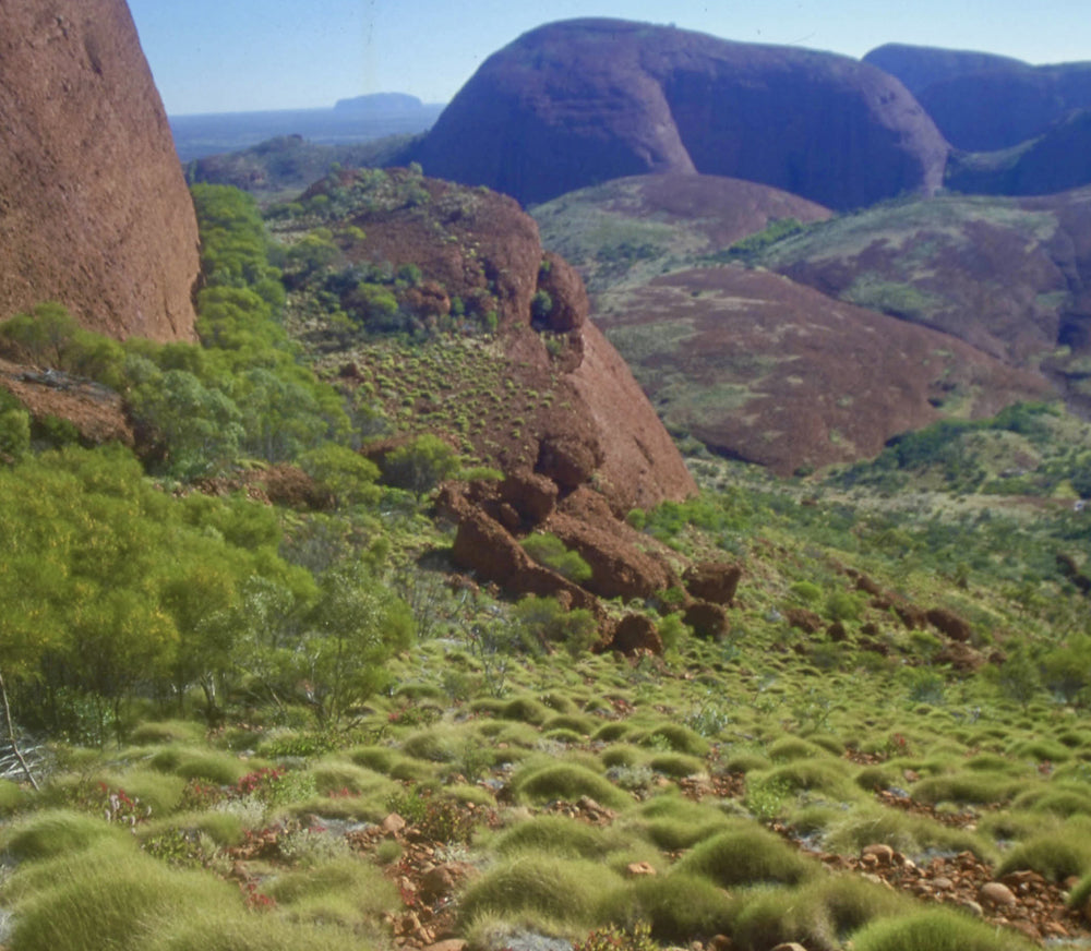 Ian's August Video Newsletter 2025