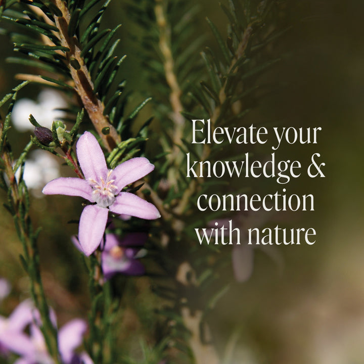 Level 3 - Sydney with Ian White - 3rd - 5th October 2026