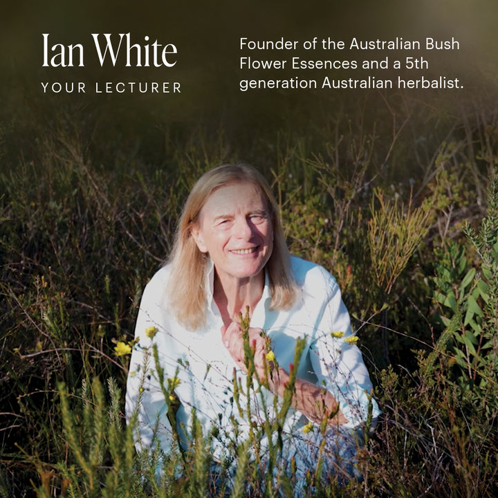 Level 3 - Sydney with Ian White - 3rd - 5th October 2026