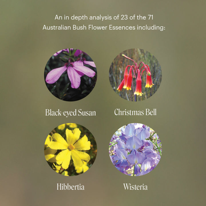 Level 3 - Sydney with Ian White - 3rd - 5th October 2026