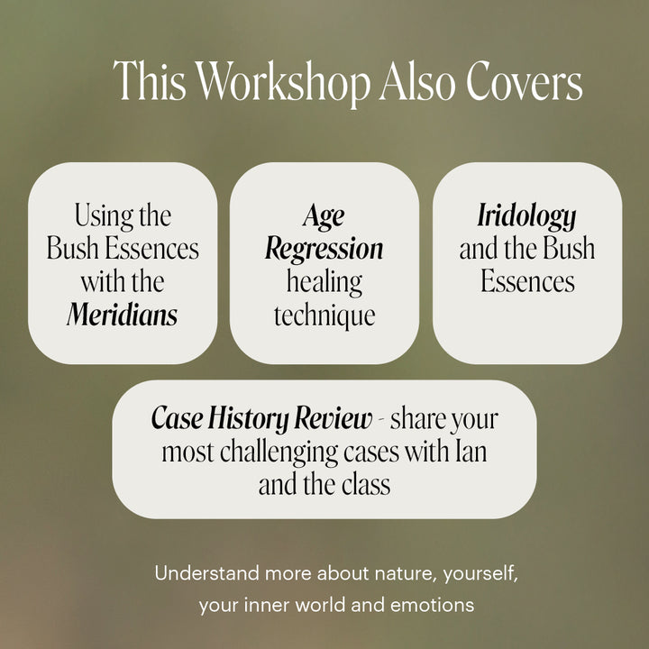 Level 3 - Sydney with Ian White - 3rd - 5th October 2026