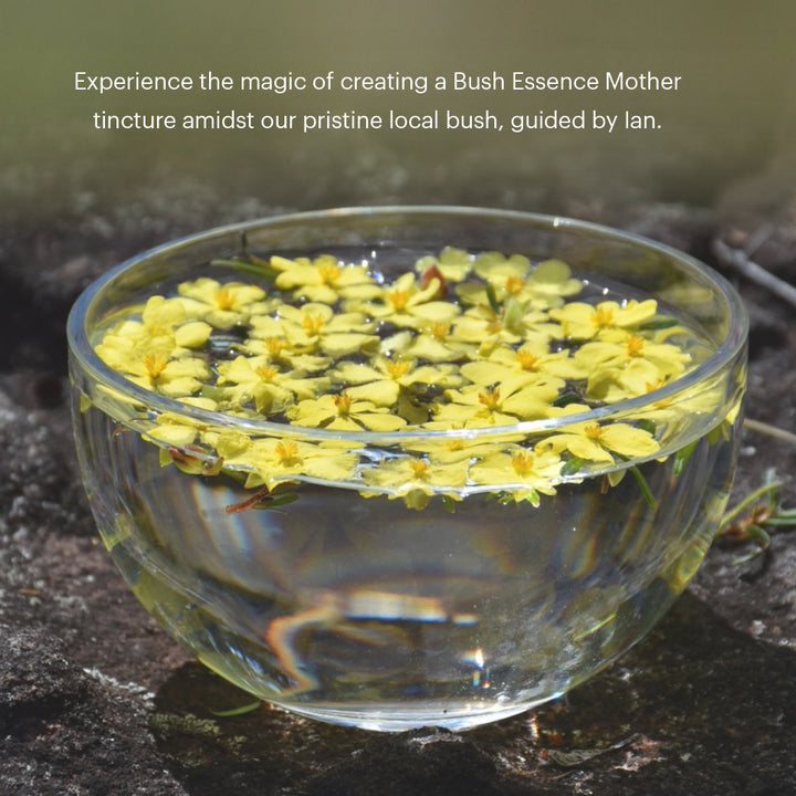 Level 3 - Sydney with Ian White - 3rd - 5th October 2026