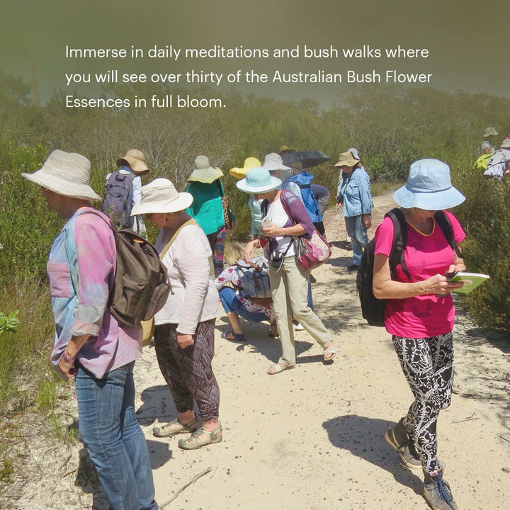 Level 3 - Sydney with Ian White - 3rd - 5th October 2026