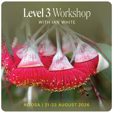 Level 3 - Noosa with Ian White - 21st - 23rd August 2026
