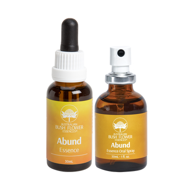 Abund Essence Aids in releasing negative beliefs, family patterns, sabotage, and poverty consciousness. In so doing, it allows you to be open to fully receiving great riches on all levels, not just financial.