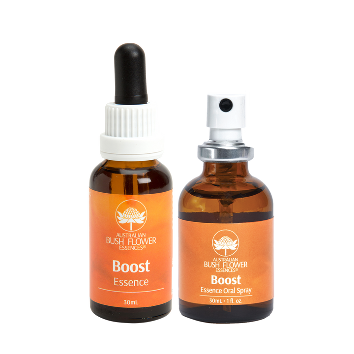 Boost Essence has been specifically formulated to support and boost you through changing and challenging times.