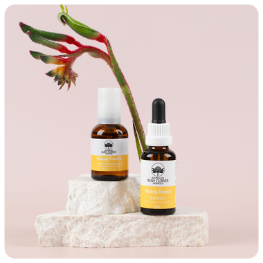 Bossy Boots Essence Bundle