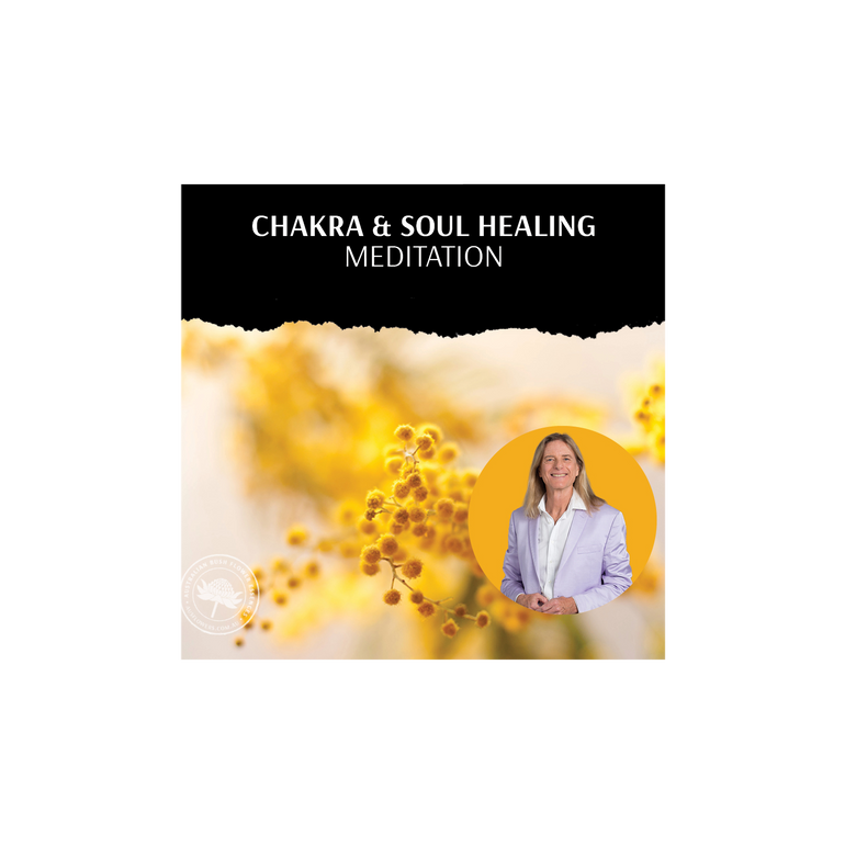 Chakra & Soul Healing Meditation