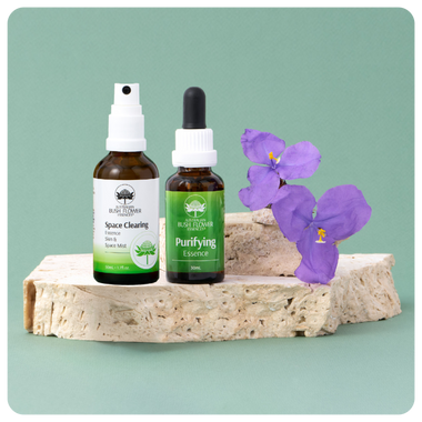 Clear & Cleanse Bundle