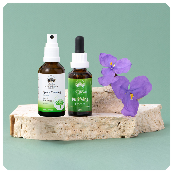 Clear & Cleanse Bundle