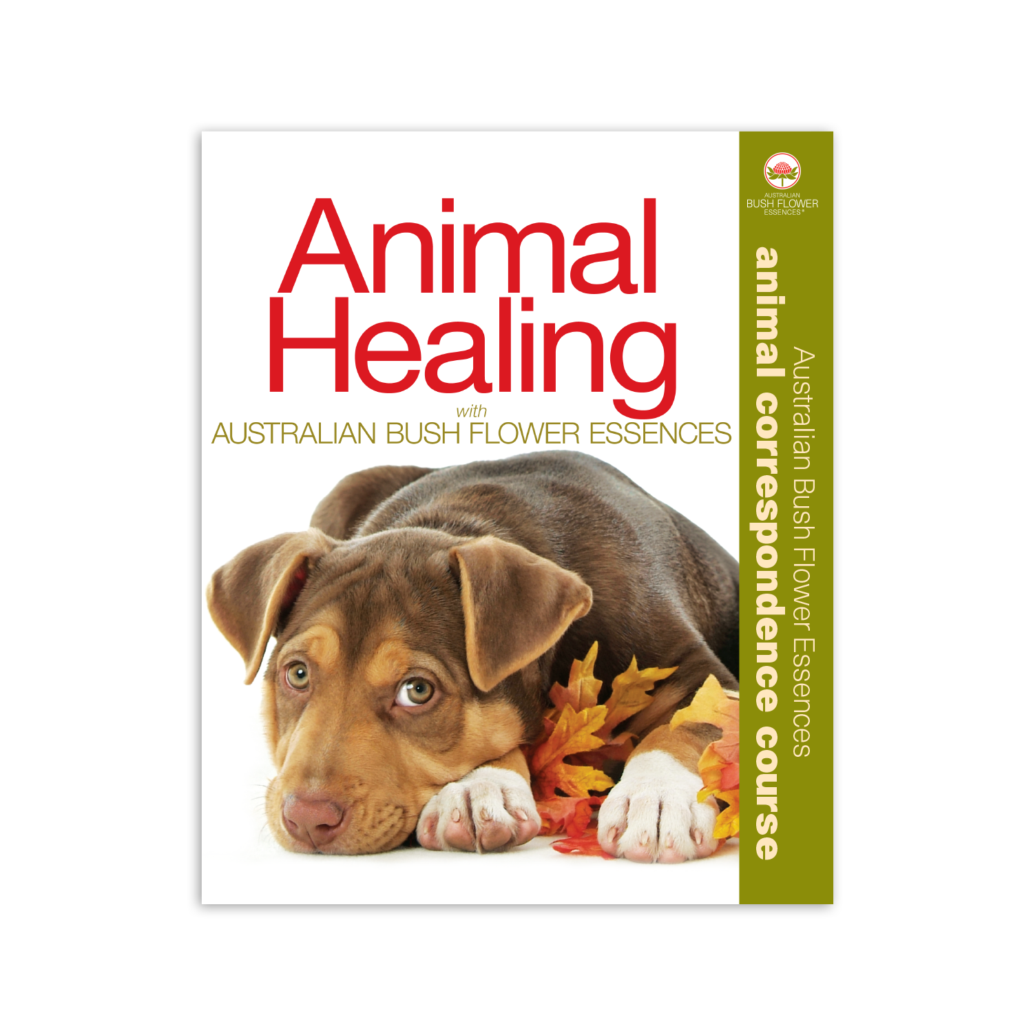 Animal Correspondence Course Australian Bush Flower Essences
