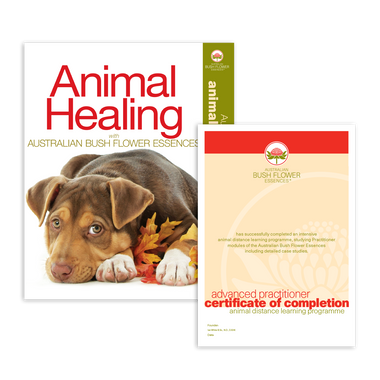 Animal Correspondence Course