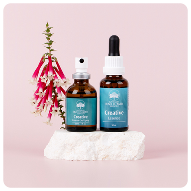 Creative Essence Bundle