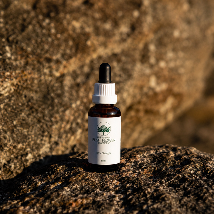 Bush Essence Practitioner Consultation