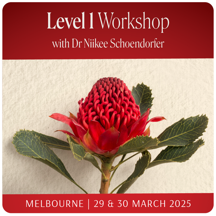 Level 1 - Melbourne with Niikee Schoendorfer - 29th & 30th March, 2025