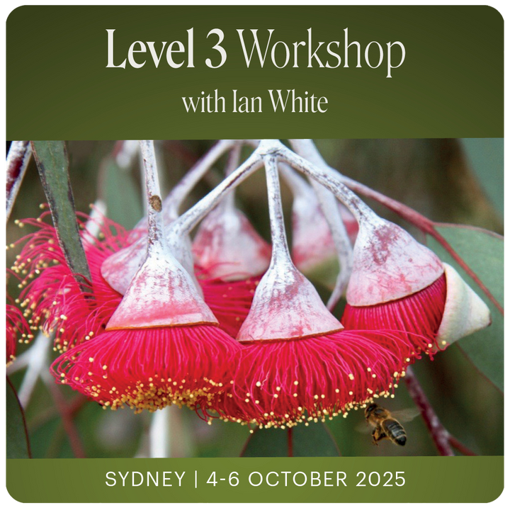 Level 3 - Sydney with Ian White - 4th - 6th October 2025