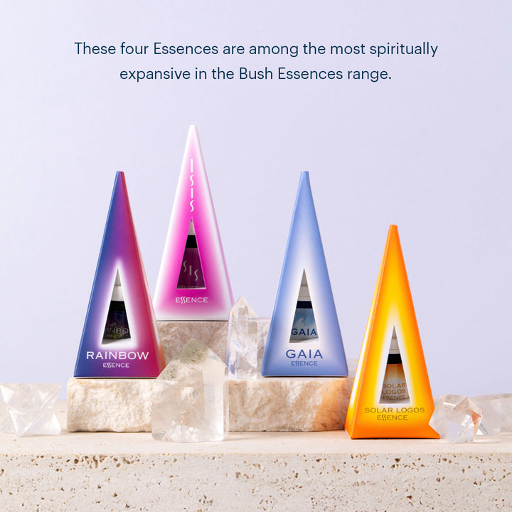 Divine Presence Essences - Christchurch with Ian White - 22nd February, 2026