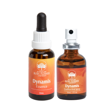 Experience renewed joy and enthusiasm for life with our Dynamis Essence Bundle. Ideal for those feeling a temporary loss of drive, this balancing remedy brings back passion and harmonises one’s vital forces, leaving you ready to embrace life fully.