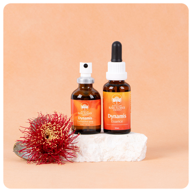 Dynamis Essence Bundle