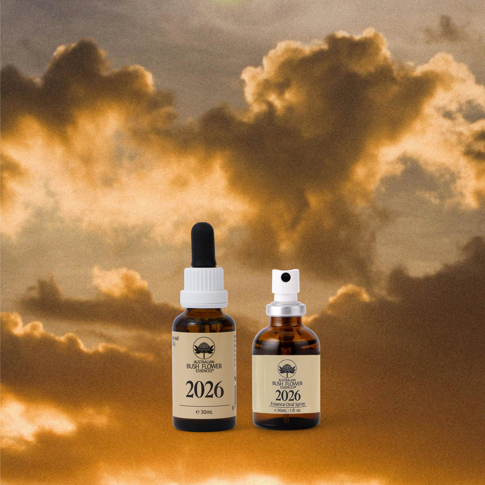 Begin With Intention. End With Clarity.