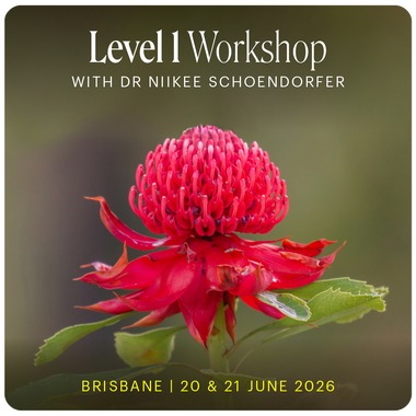 Level 1 - Brisbane with Dr Niikee Schoendorfer - 20th & 21st June, 2026