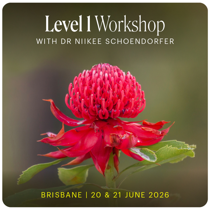Level 1 - Brisbane with Dr Niikee Schoendorfer - 20th & 21st June, 2026