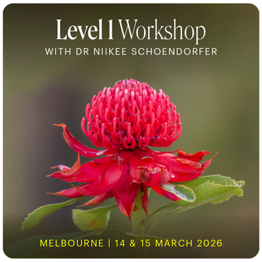 Level 1 - Melbourne with Niikee Schoendorfer - 14th & 15th March, 2026