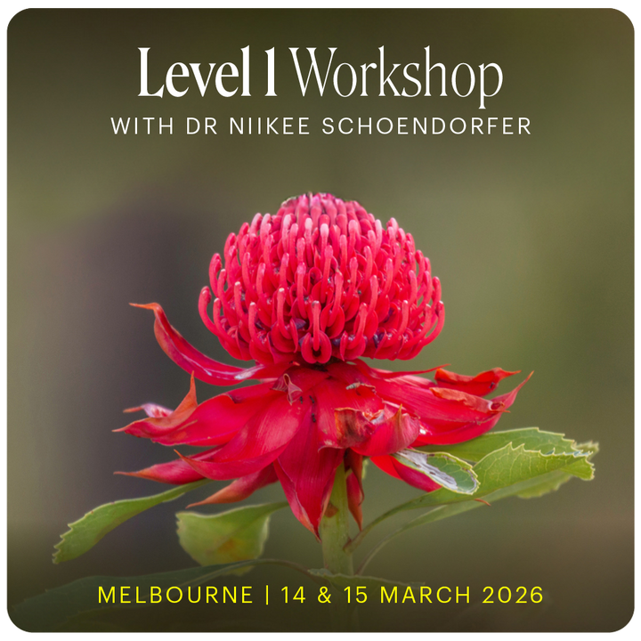 Level 1 - Melbourne with Niikee Schoendorfer - 14th & 15th March, 2026
