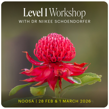 Level 1 - Noosa with Dr Niikee Schoendorfer - 28th February & 1st March 2026