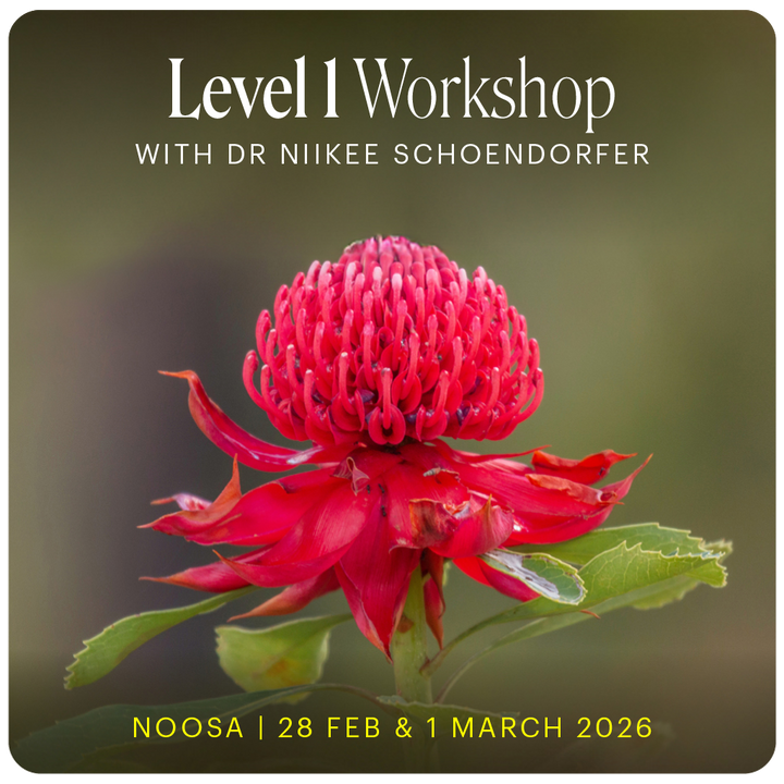 Level 1 - Noosa with Dr Niikee Schoendorfer - 28th February & 1st March 2026